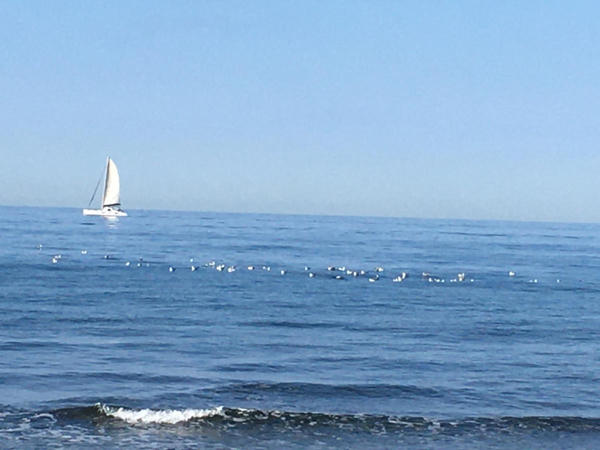 La Mouette Bleue Maison De Ville Individuelle Et Climatisee มาร์ติกส์ ภายนอก รูปภาพ